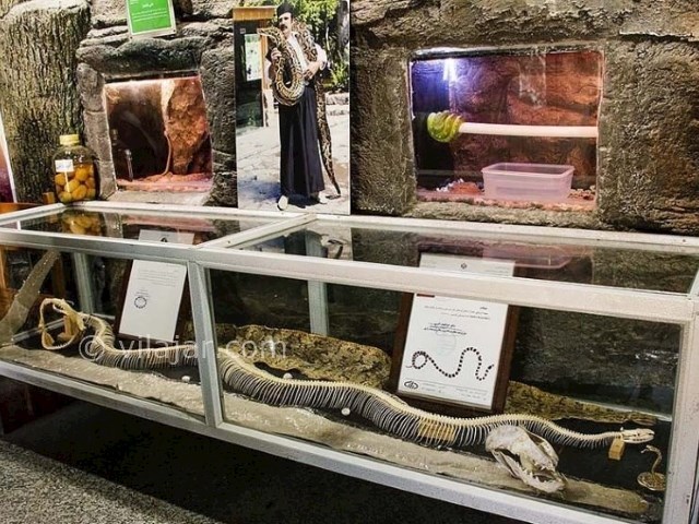 عکس شماره 10 - باغ خزندگان اصفهان