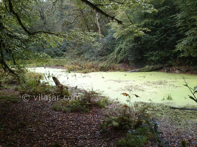 عکس شماره 5 - دریاچه خضر نبی نوشهر