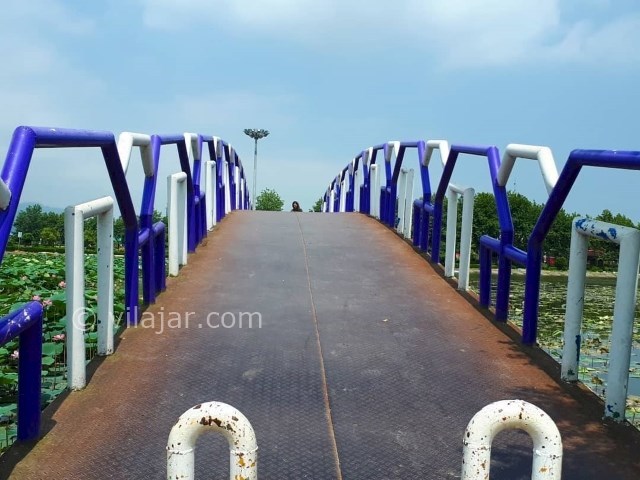 عکس شماره 12 - پارک فجر لنگرود