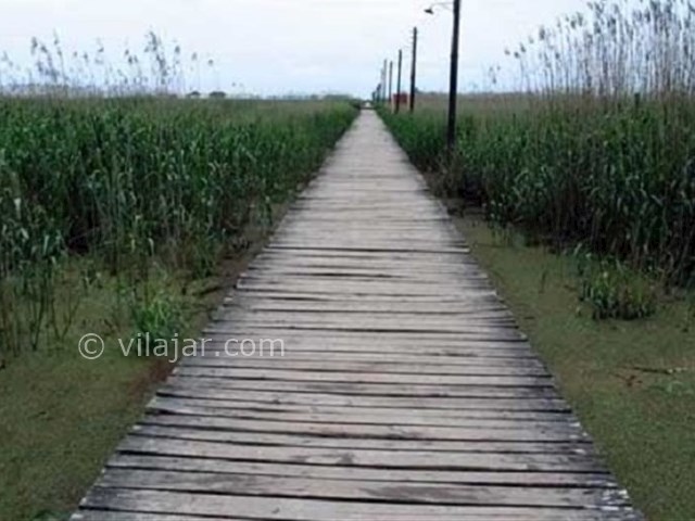 عکس شماره 3 - پارک جنگلی کیاشهر