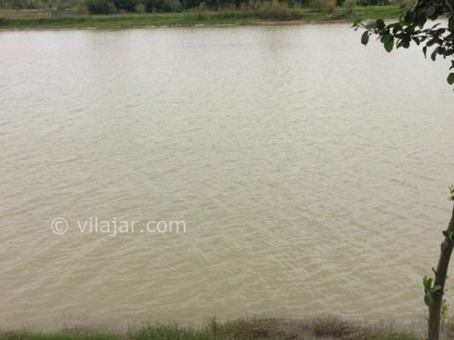 عکس شماره 4 - پارک جنگلی کیاشهر