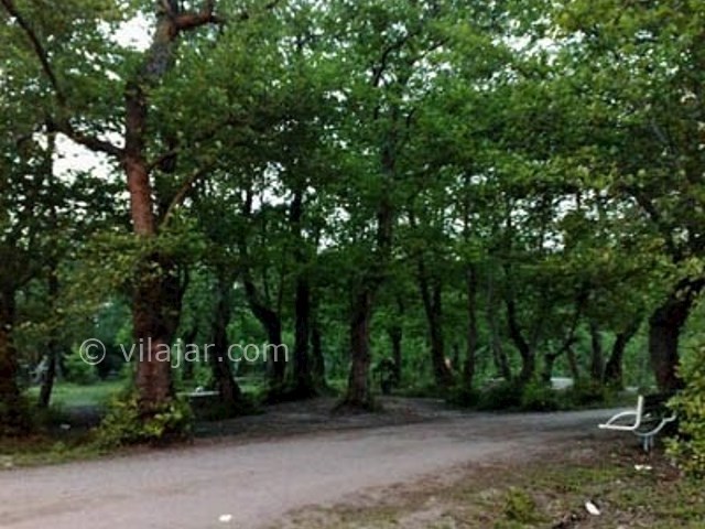 عکس شماره 7 - پارک جنگلی کیاشهر