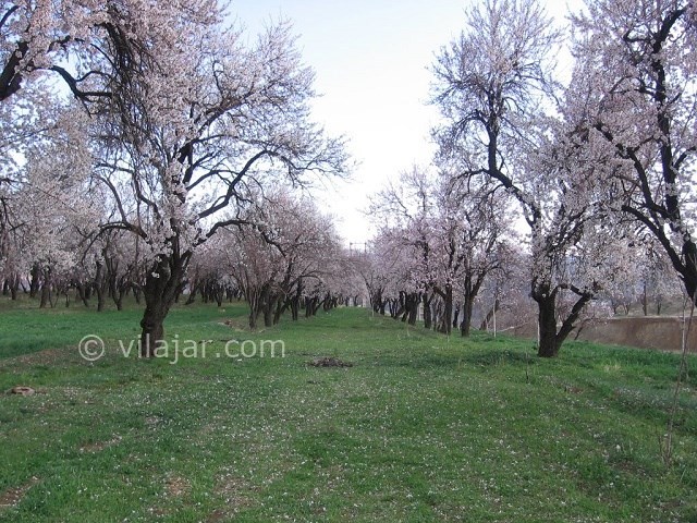 عکس شماره 7 - جاذبه های گردشگری شهر سامان