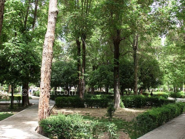 عکس شماره 4 - پارک هفتم تیر یزد