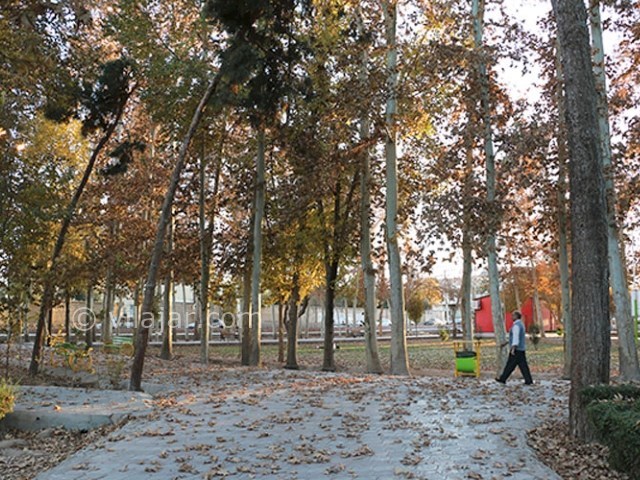 عکس شماره 7 - پارک هفتم تیر یزد