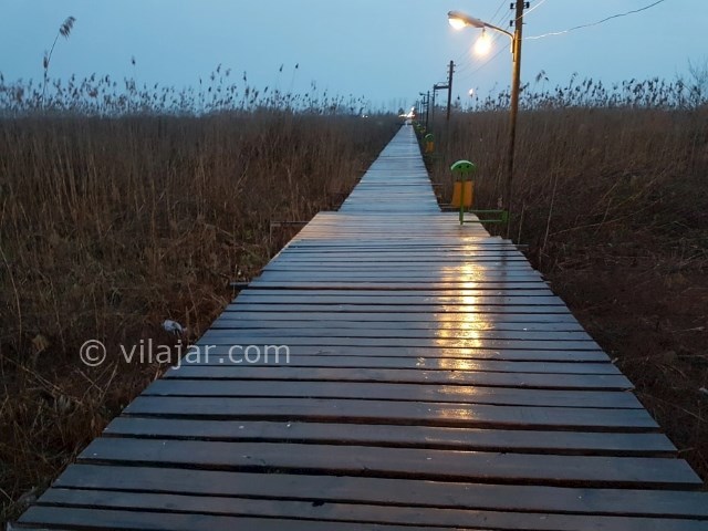 عکس شماره 4 - پل چوبی بندر کیاشهر