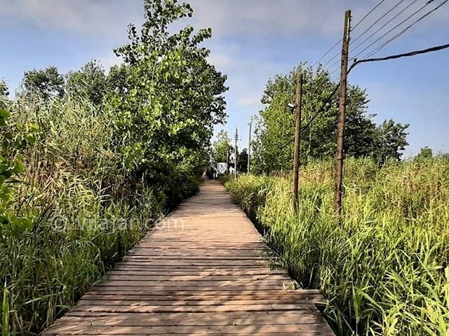 عکس شماره 5 - پل چوبی بندر کیاشهر