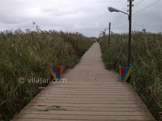 عکس شماره 8 - پل چوبی بندر کیاشهر