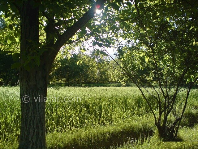 عکس شماره 12 - جاذبه های گردشگری شهر سامان