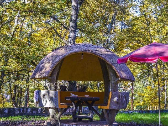 عکس شماره 3 - پارک جنگلی شهید زارع ساری