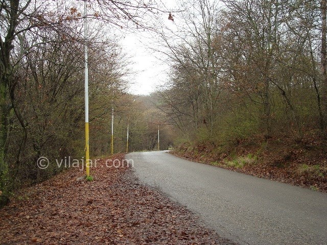 عکس شماره 4 - پارک جنگلی شهید زارع ساری