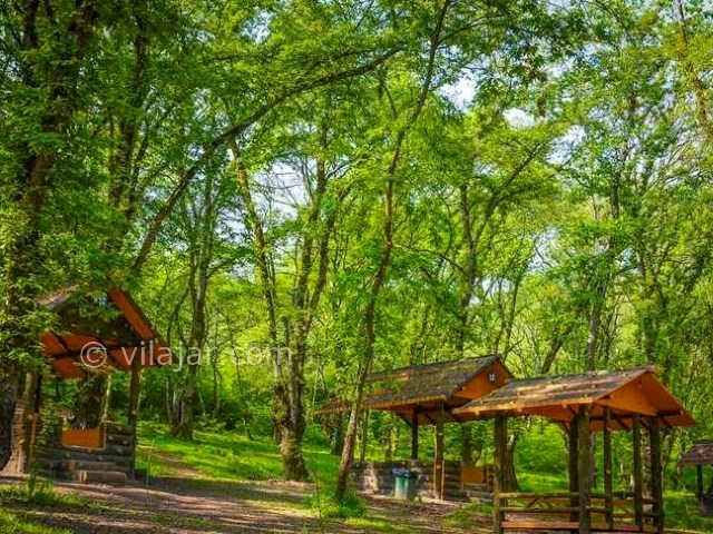 عکس شماره 5 - پارک جنگلی شهید زارع ساری