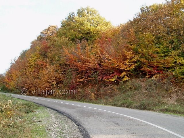عکس شماره 6 - پارک جنگلی شهید زارع ساری