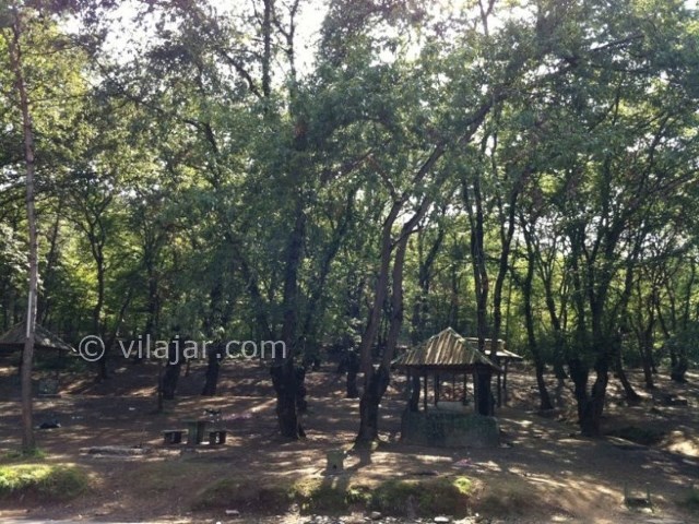 عکس شماره 8 - پارک جنگلی شهید زارع ساری