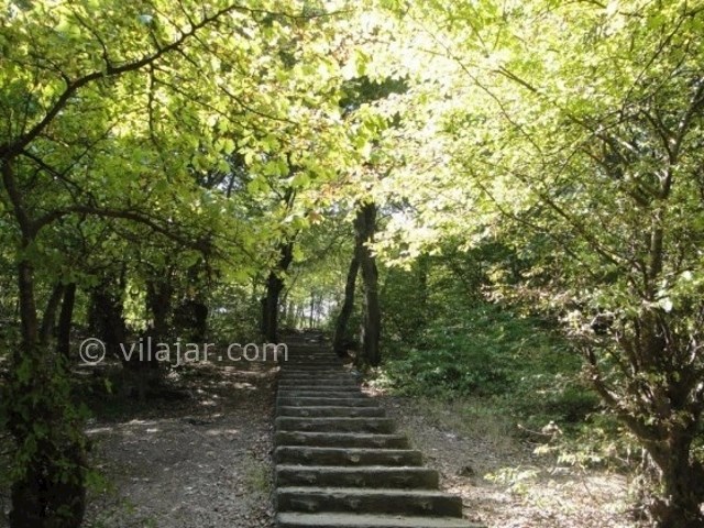 عکس شماره 9 - پارک جنگلی شهید زارع ساری