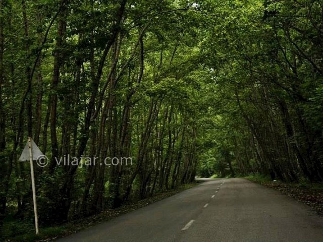 عکس شماره 11 - پارک جنگلی شهید زارع ساری