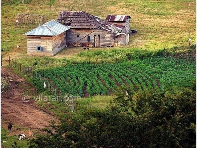 عکس شماره 5 - جاذبه های گردشگری تالش