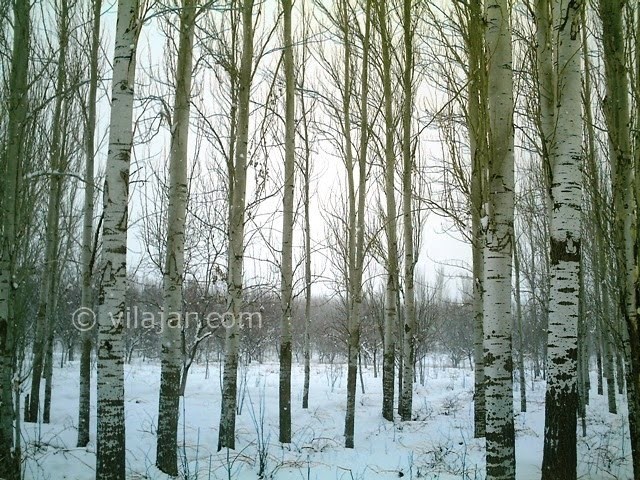 عکس شماره 15 - جاذبه های گردشگری شهر سامان