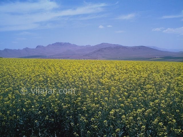 عکس شماره 17 - جاذبه های گردشگری شهر سامان