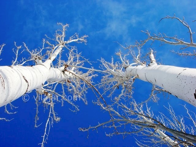 عکس شماره 21 - جاذبه های گردشگری شهر سامان