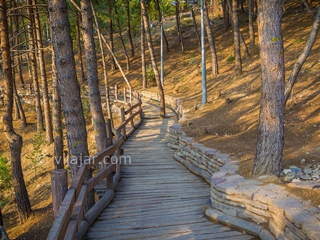 عکس شماره 6 - پارک طالقانی تهران