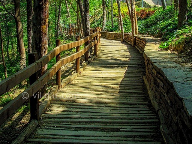 عکس شماره 9 - پارک طالقانی تهران