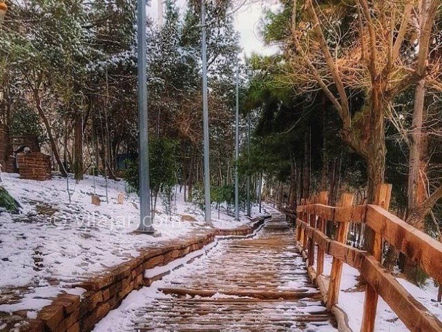 عکس شماره 12 - پارک طالقانی تهران