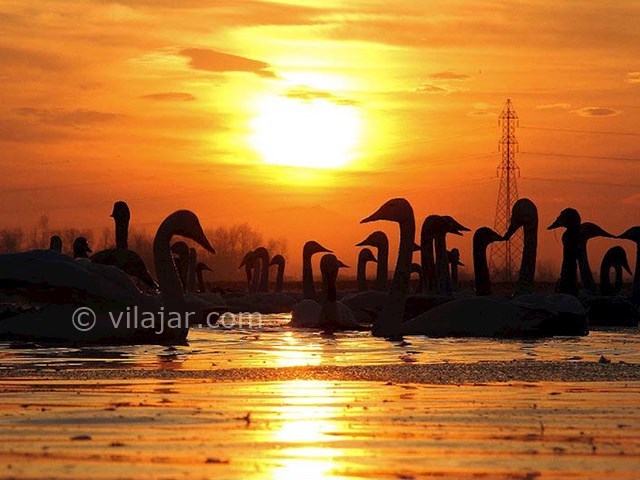 عکس شماره 14 - جاذبه‌های گردشگری فریدونکنار