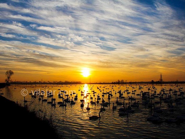 عکس شماره 15 - جاذبه‌های گردشگری فریدونکنار