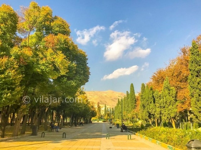 عکس اصلی شماره 2 - پارک آزادی شیراز