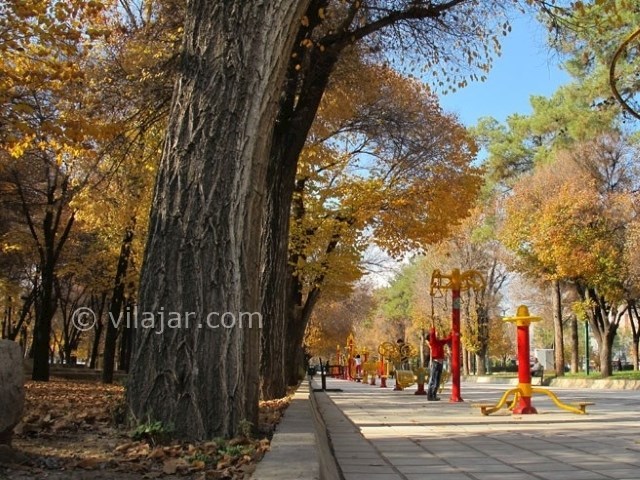 عکس شماره 9 - پارک آزادی شیراز