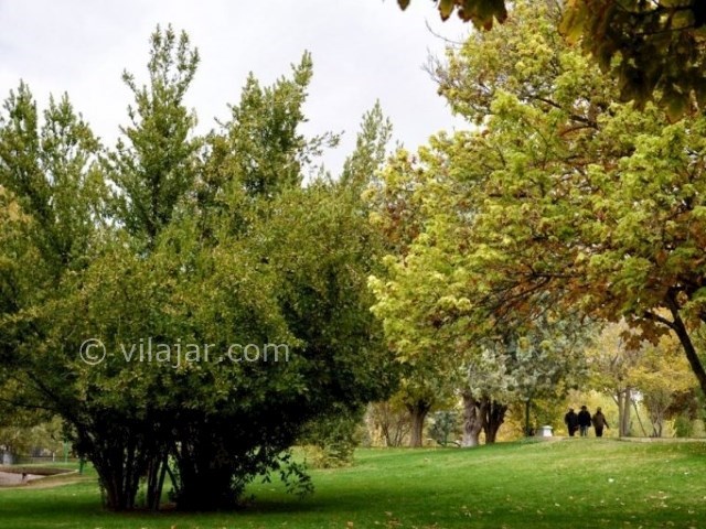 عکس اصلی شماره 13 - پارک آزادی شیراز