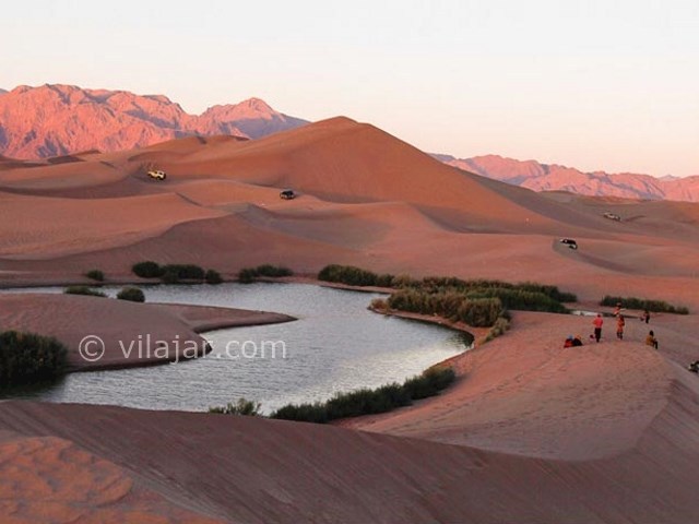 عکس شماره 7 - تالاب پساب یزد