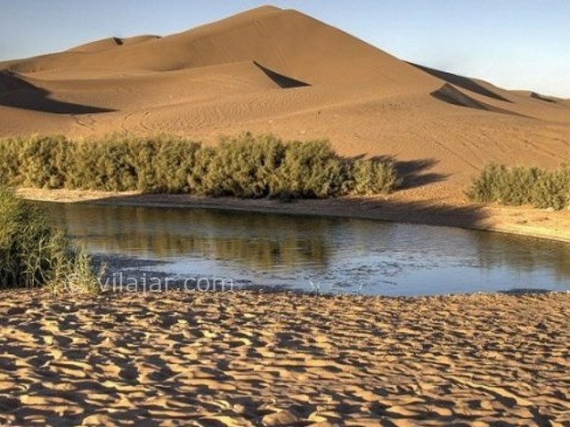 عکس شماره 10 - تالاب پساب یزد