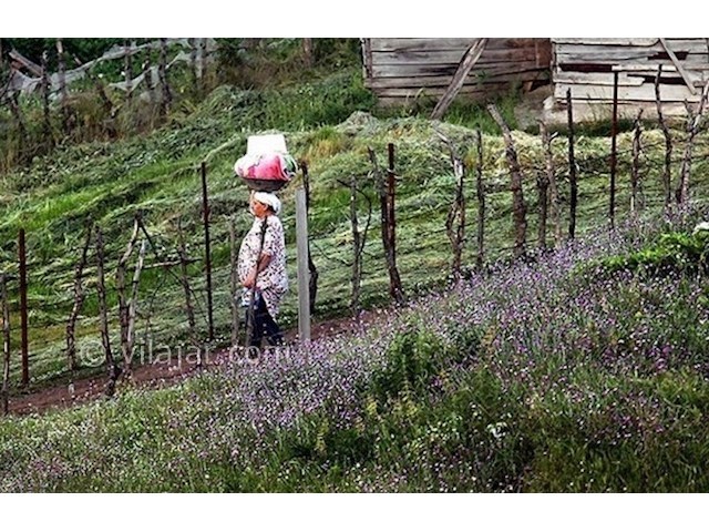 عکس شماره 7 - جاذبه های گردشگری تالش