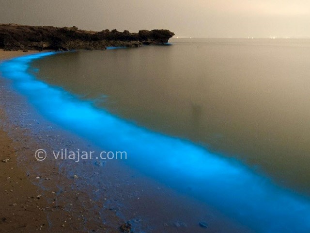 عکس شماره 5 - جزیره لارک