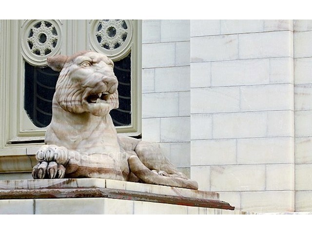 عکس شماره 12 - کاخ مرمر رامسر