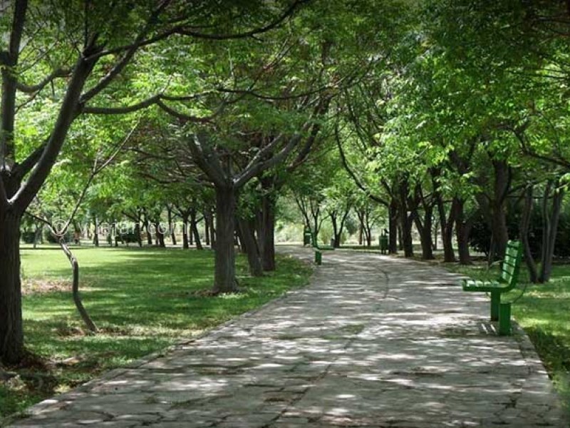 عکس اصلی شماره 1 - پارک جنگلی توسکا تهران