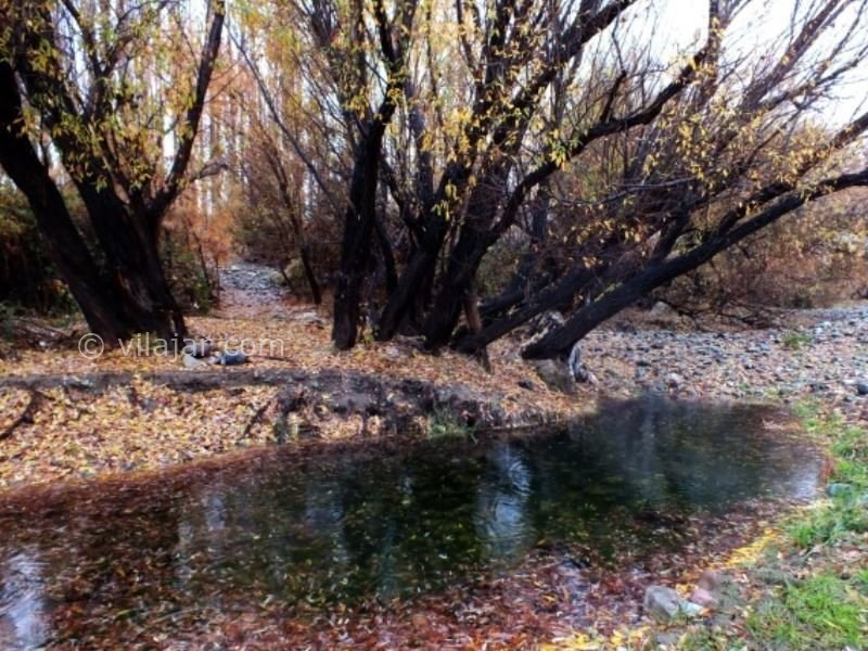 عکس شماره 3 - پارک ملی خجیر