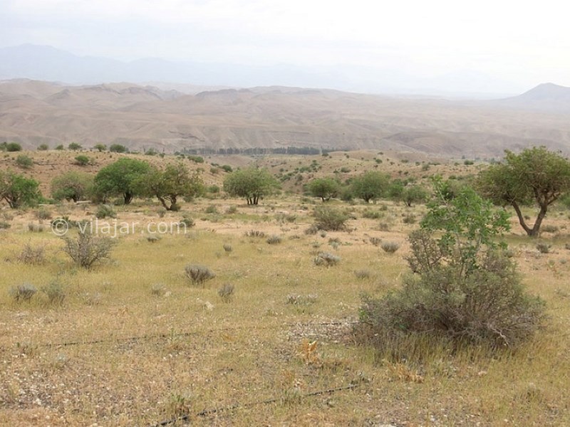 عکس شماره 5 - پارک ملی خجیر