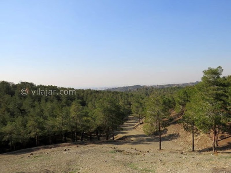 عکس شماره 3 - پارک جنگلی خرگوش دره تهران