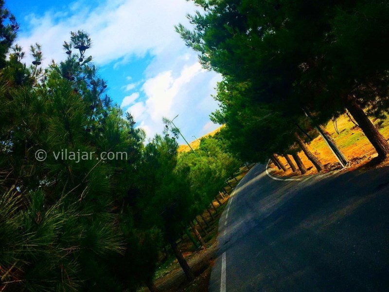 عکس شماره 3 - پارک جنگلی لتمان کن