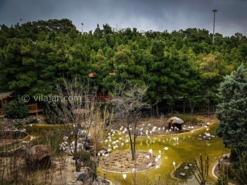 عکس شماره 5 - پارک جنگلی یاس تهران