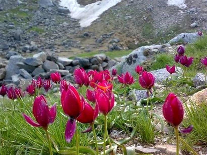 عکس شماره 3 - تخت نادر همدان