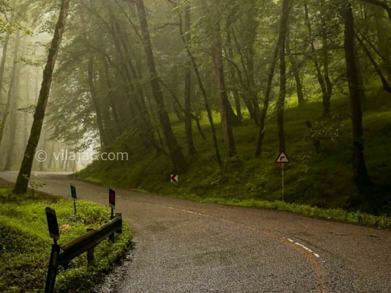 عکس شماره 9 - جنگل دالخانی رامسر کجاست؟