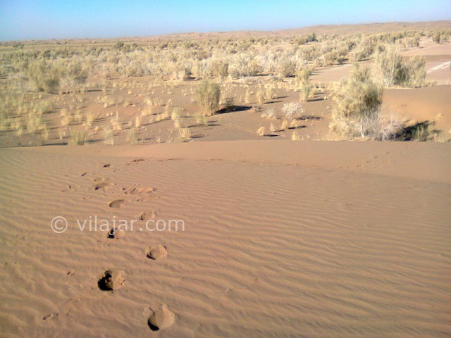 عکس شماره 3 - کویر آشتیان