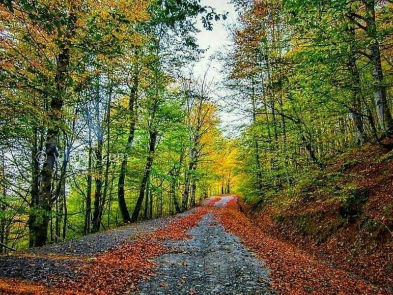 عکس شماره 15 - جاده اسالم به خلخال