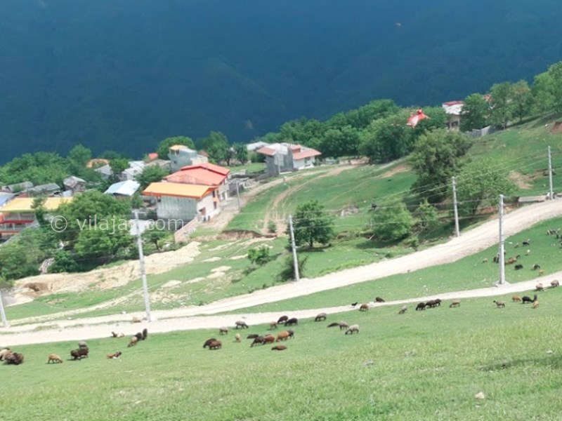 عکس شماره 12 - دهکده ییلاقی اولسبلنگاه