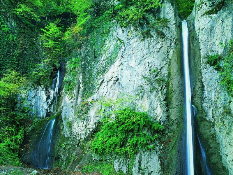 عکس شماره 7 - منطقه ییلاقی زیارت گرگان