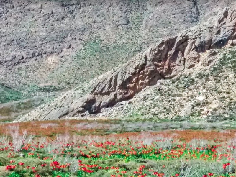 عکس شماره 3 - روستای دره بید خوانسار